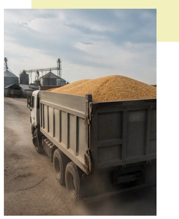 Перевозка сельхозпродукции навалом в Элисту по цене от 3107 р. | Агросервис-Элс